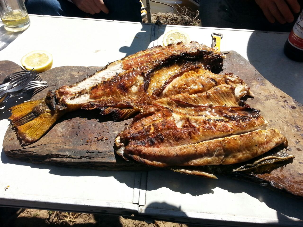 posada, esquina, pesca